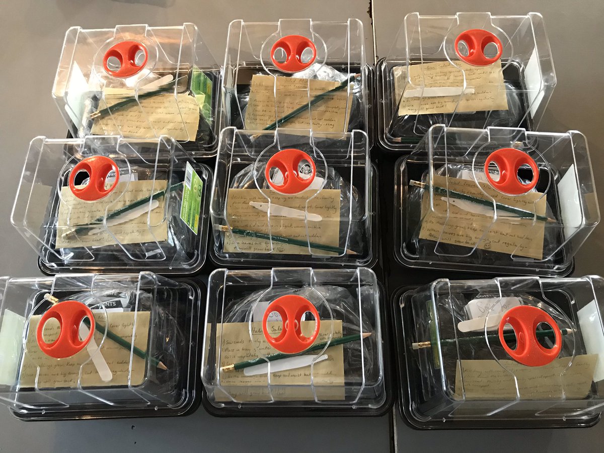 We’ve made up Salad Sowing Kits suitable for new gardeners to grow cut &amp; come again salad from seed, either on a windowsill indoors or outside. Kits include propagator lid, seed tray, sieved &amp; sterilised compost, label, Farm pencil, seeds &amp; instructions.
surreydocksfarm.org.uk/product/food-g…