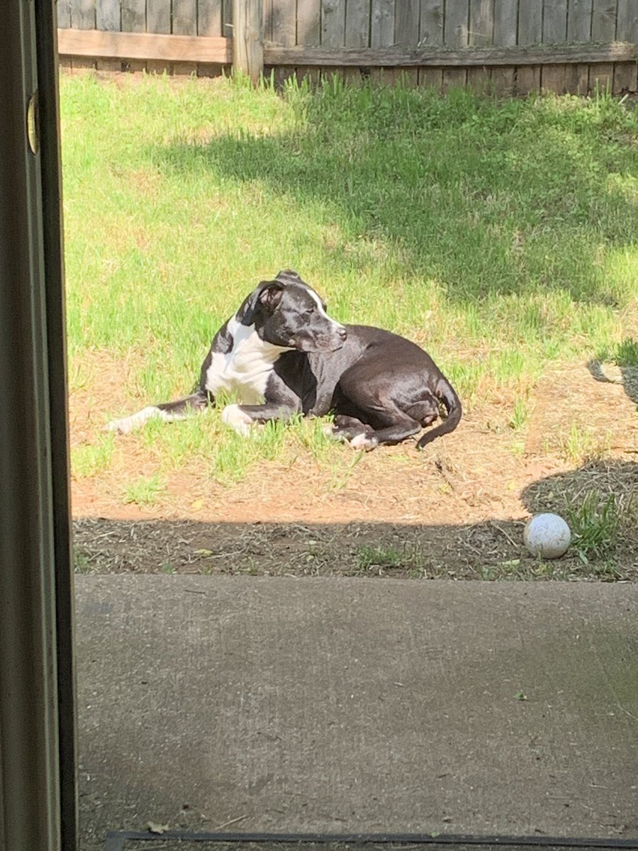 She is really enjoying sunbathing this week