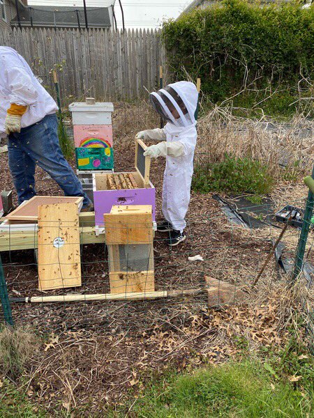 M_Lewert's tweet image. Happy Earth Day! 🌎 A beautiful day for setting up your beehive 🐝 🍯 and getting your Spring flowers ready! 🌷🌻 Great job, Gia and Tristan! @joanne_shafer @WdbgSchools