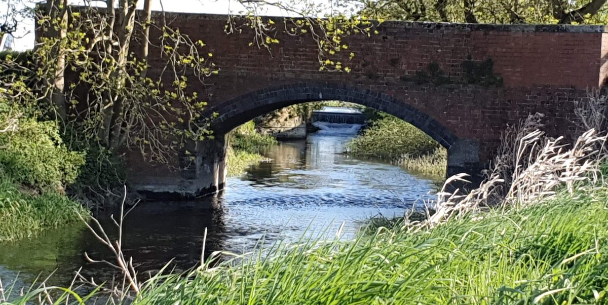 Jen66184's tweet photo. Lovely local walk #countryside #riverlocks https://t.co/hPY0T4RPf9