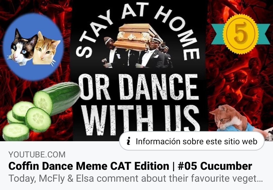 mcflyelsa's tweet photo. #Cat VS 🥒
...Only one will survive the #Quarantine
😹😹😹

👇📺👇
https://t.co/5SIKhEhxVH https://t.co/Uw0NldDOcA