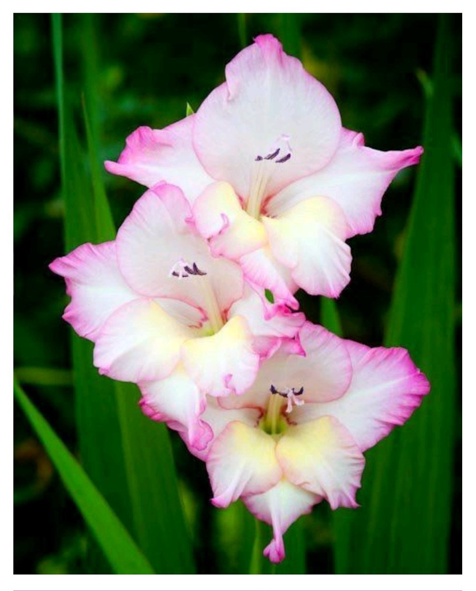 부정선거
지네들이 했던짓 아닌가?

미친당에게 
좋은댓글 주려했는데,
용납이 않된다.
도로 유신당
민정당
새누리당
친박당들이 했던짓?
그들은 부정하고푼
향수가있나 보다.
요즘 시대가 박쟁희
독재때인줄 아나.
선거 부정이라니?
에라 철부지 정치꾼들아.