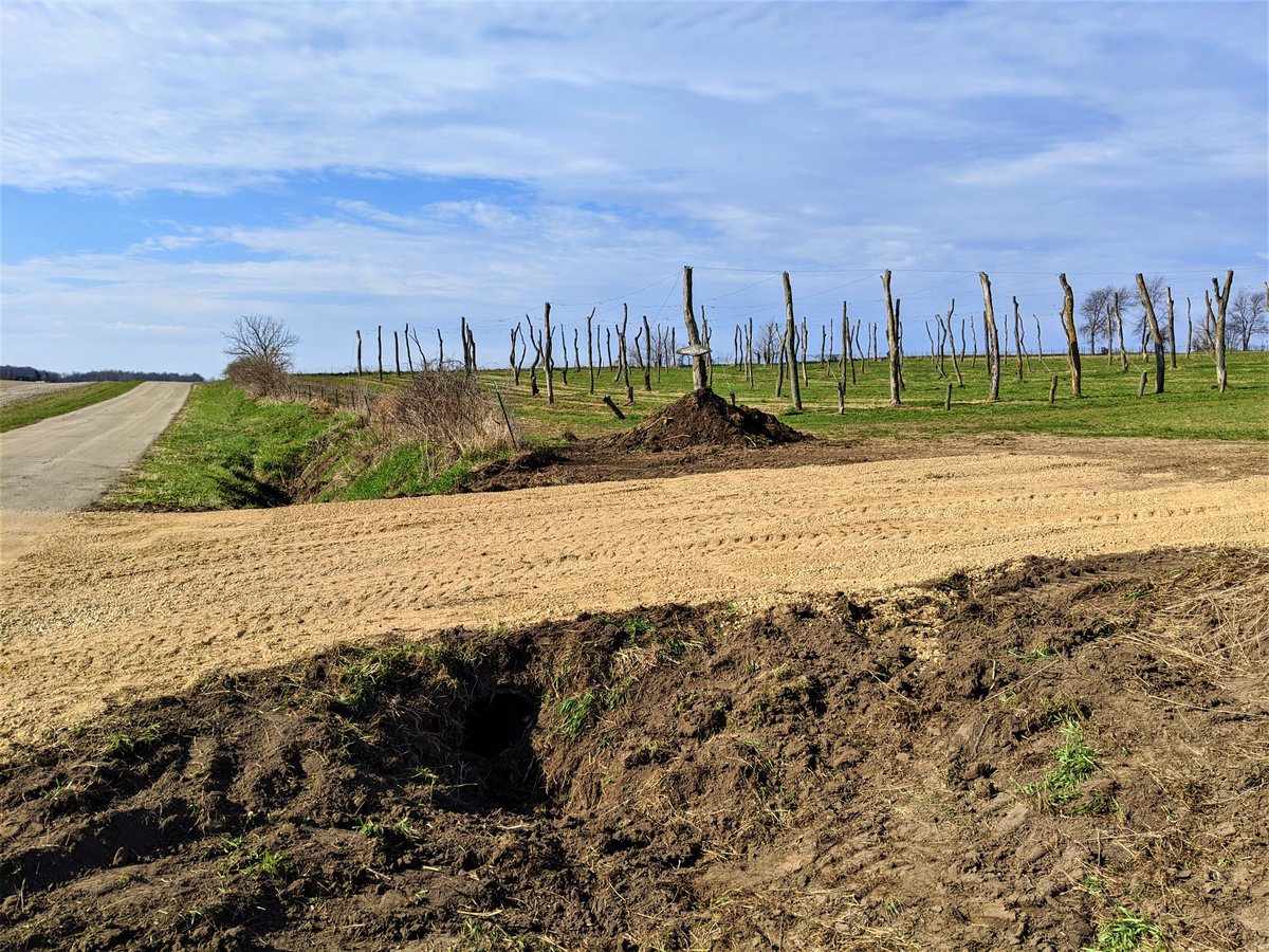 New driveway is in for Beer Farm tours starting this summer!
.
.
#WiBeerWednesday #wibeer #wicraftbeer #agriculture #ag #ale #agritourism #agribeerism #familyfarm #wisconsinagriculture #farmtotable #graintoglass #wegrowbeer #beerfarmer #beerfarm #farmtours