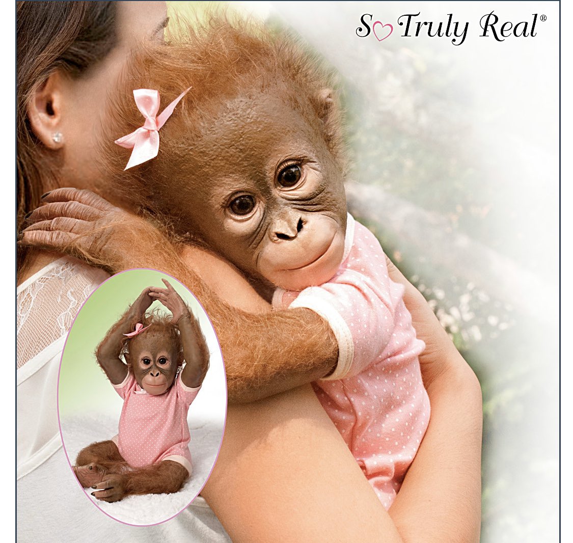 I was just made aware of a company called The Bradford Exchange that sells weird toys and ceramic collectibles so I’m gonna start a thread of the strangest stuff they sell. Kicking it off...“Annabelle's Hugs" Lifelike Baby Monkey Doll !