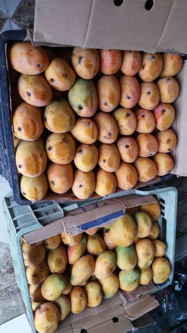 هاتوا لنا بمثل مذاقه ان استطعتوا #اليمن_بلاد_الخيرات