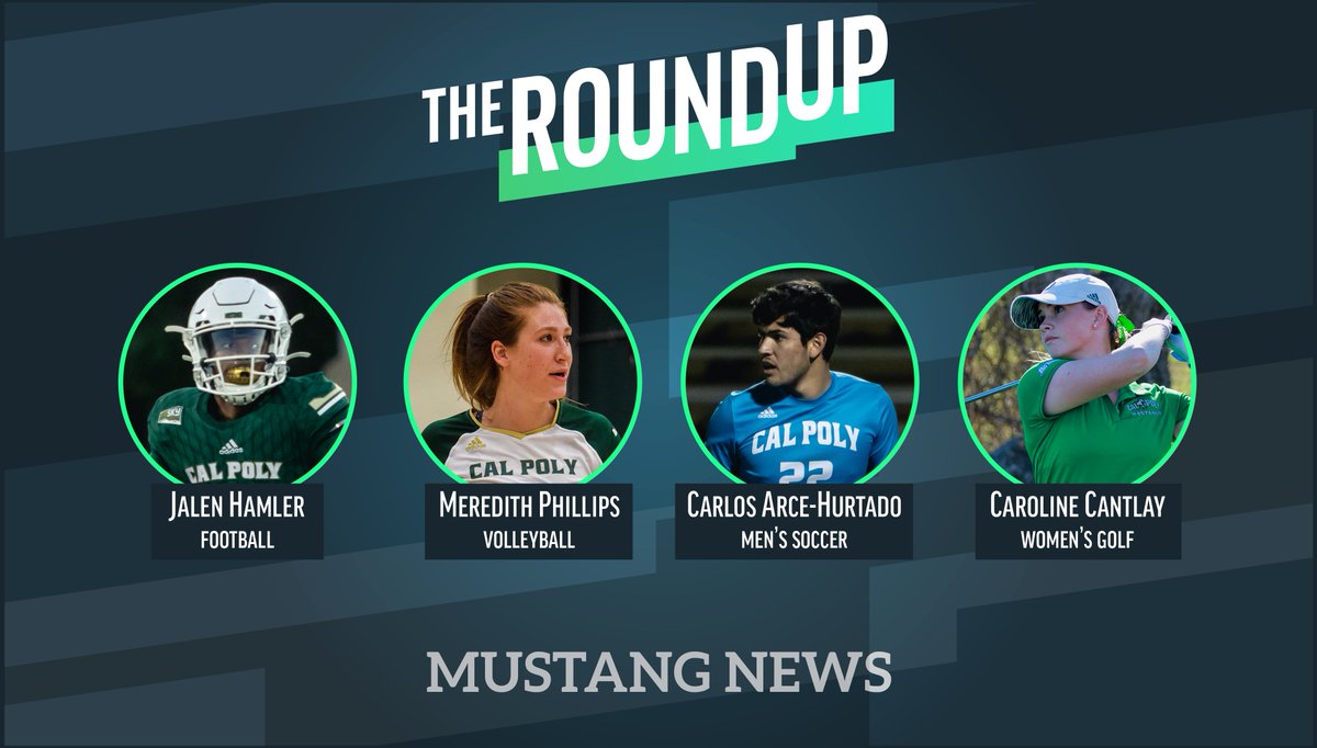 Mustang News tweet media