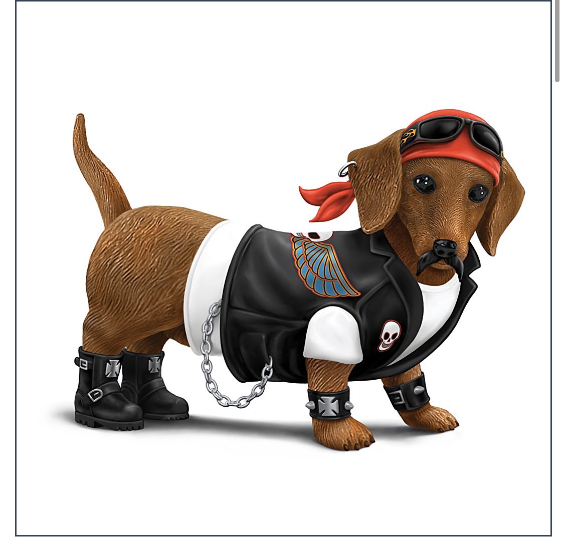 This is "Cruiser" the Dachshund Biker Figurine. These are the promo images they have on the website. I will say this, I like Cruiser and would proudly display him in my home.