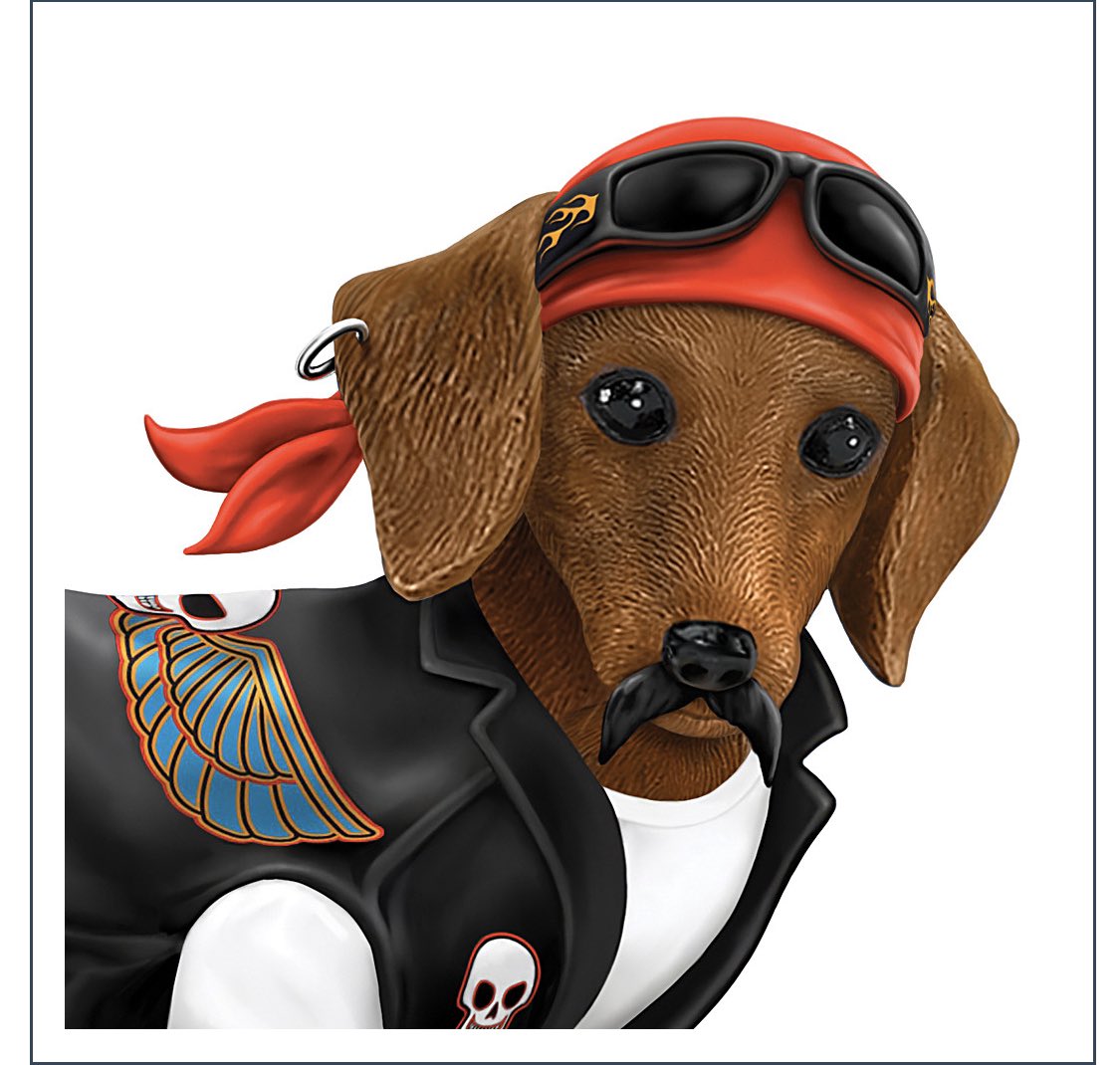 This is "Cruiser" the Dachshund Biker Figurine. These are the promo images they have on the website. I will say this, I like Cruiser and would proudly display him in my home.