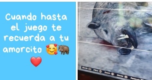 Secretaría de la Defensa del Meme tweet media