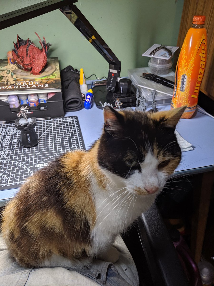 Twilight_Minx's tweet image. Started painting this beauty today (ignore battle cabbage he's a wip 😅) and a friend decided she wanted to help 🥰 #Warmongers #greyfax #cat #painting #warhammer40k #PaintingWarhammer