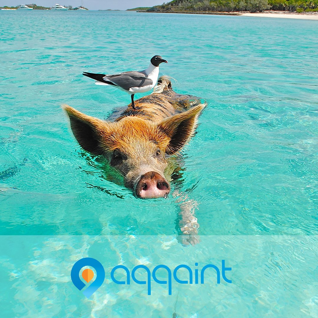 aqqaint's tweet photo. Happy Earth Day from @Aqqaint!  The virus may have us all adapting to a new way of life, but we can and will survive by supporting one another.  Do more for your community and your environment through Aqqaint's trusted exchange.  #EarthDay https://t.co/7zk14wQ3h1