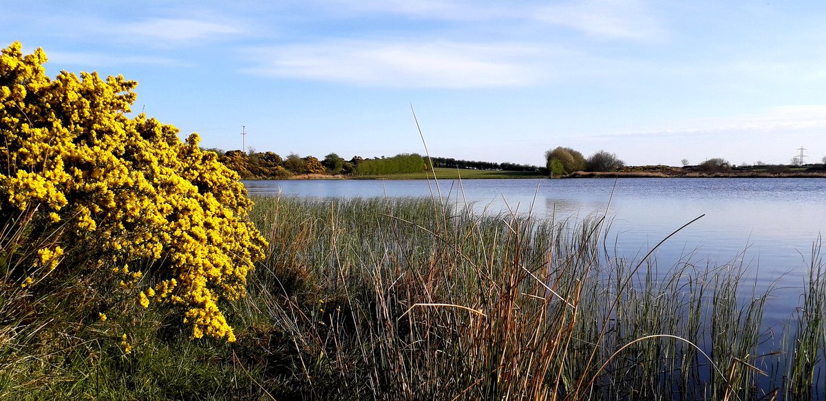 seanquinn24's tweet photo. A beautiful evening at Camly Lake aka Thompson Lake in Camly Macullagh
#IsolatedRunner 
#Newtownhamilton 
@WeatherCee 
@angie_weather @StormHour 
@baileur 
@newtownca 
@NewtownScience 
@Newtown_High 
@autism_hand 
@HikingAutism 
@SAtwinpeaks 
@Ring_Of_Gullion 
@JohnGou65498082 https://t.co/nX1wm1zETS