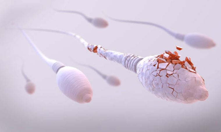 2. Spermicide : Les spermicides se présentent sous forme de gel et d’ovule qui se placent dans le vagin quelques minutes avant chaque rapport et détruisent les spermatozoïdes.