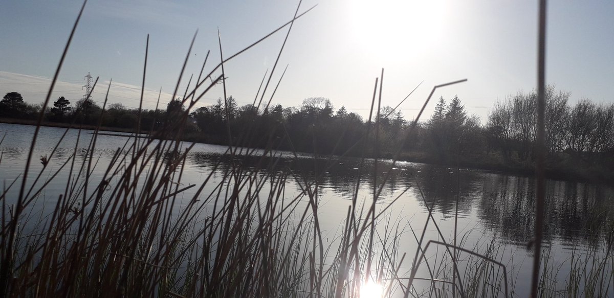 seanquinn24's tweet photo. A beautiful evening at Camly Lake aka Thompson Lake in Camly Macullagh
#IsolatedRunner 
#Newtownhamilton 
@WeatherCee 
@angie_weather @StormHour 
@baileur 
@newtownca 
@NewtownScience 
@Newtown_High 
@autism_hand 
@HikingAutism 
@SAtwinpeaks 
@Ring_Of_Gullion 
@JohnGou65498082 https://t.co/nX1wm1zETS