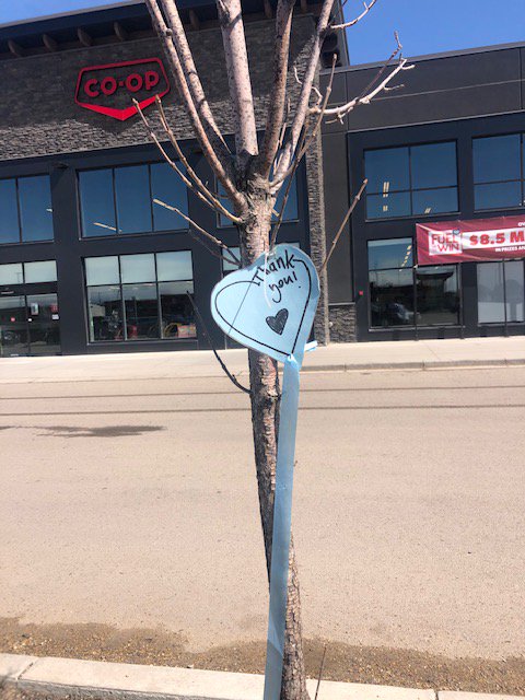 timberlands coop red deer