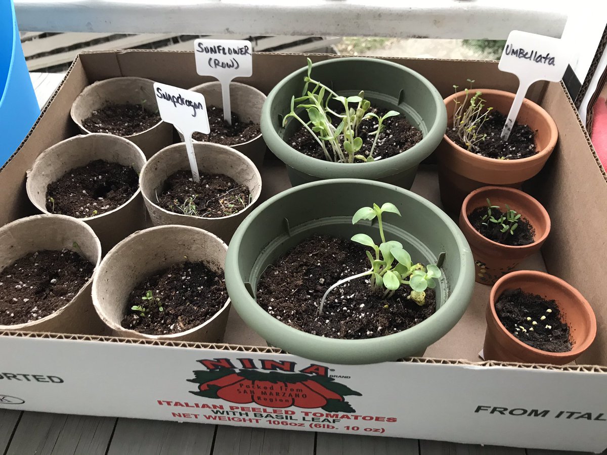 Happy Earth day everyone! #macslovetheearth