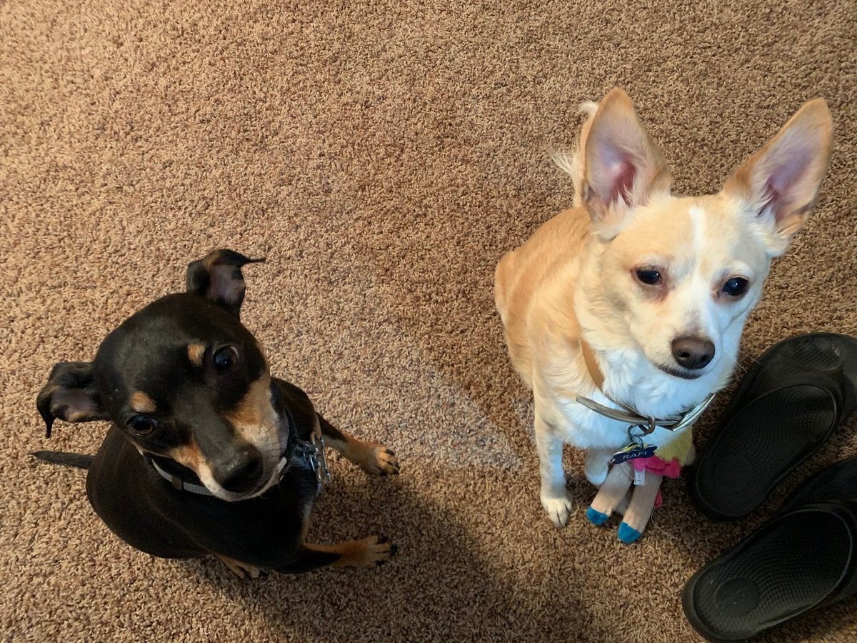 My interns are so needy.