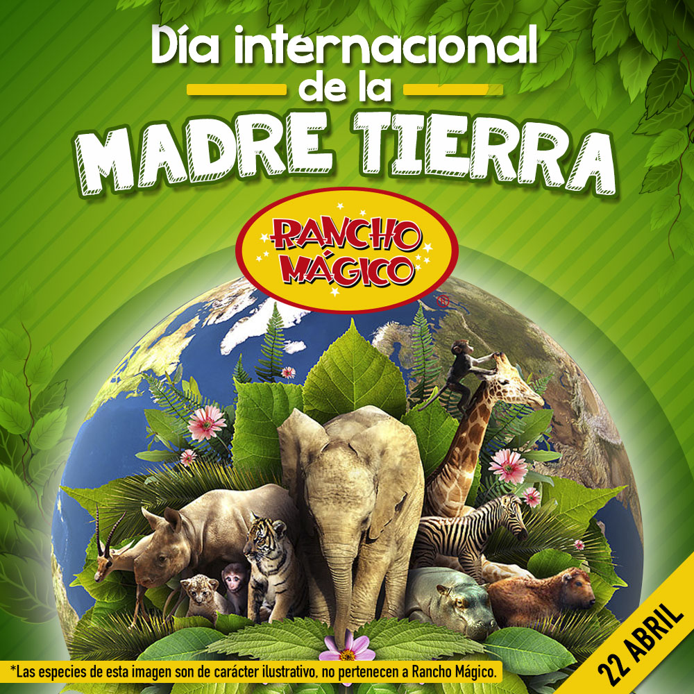 Mientras la humanidad se resguarda, nuestro planeta se recupera. 🌎🌲🌿🌱🍃🦉🐻🐸🐧🐔🐒🙊🐥🐢🐍🐬🐋🐳🐅🐪🦌🐀

Con contingencias como la actual nos ayuda a reflexionar que cuidarnos, también significa cuidar el planeta.

#DiaInternacionalDeLaTierra #naturaleza #animales