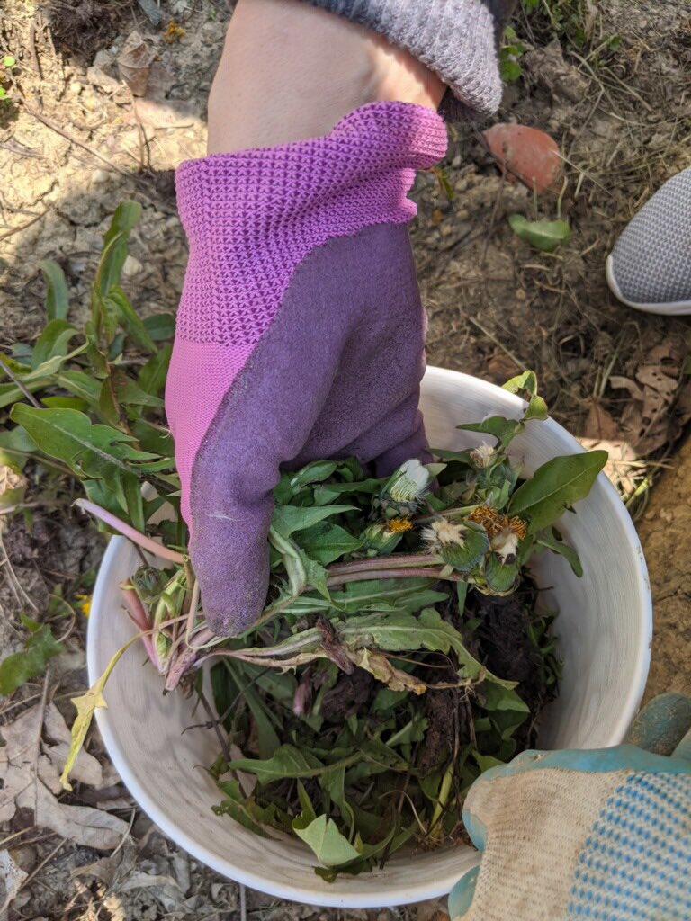 Team8P1's tweet photo. @Team8P1 doing our Earth Day activities #PTBMSTRONG #EarthDay2020 https://t.co/zqqoKAHxeG
