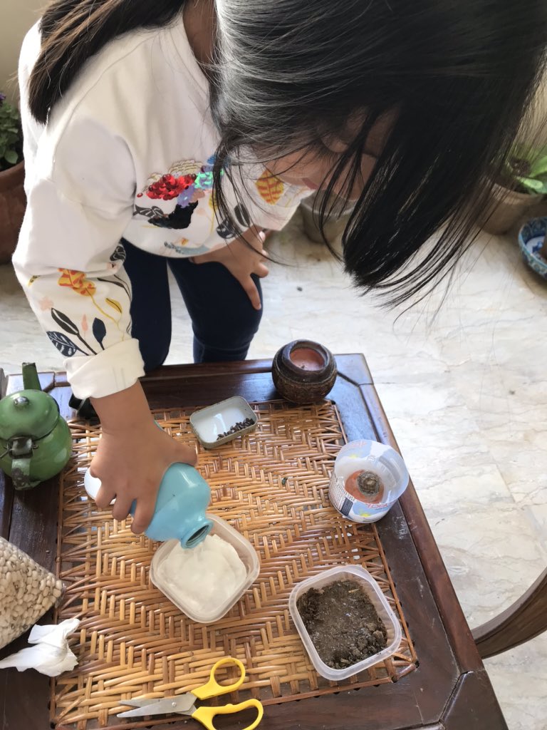 Youmaneh1's tweet photo. Earth day and nature walks got us wondering if we could grow our own tree? We added a carrot and some beans to our experiment. 🌱 🌳 🍃 @DBFFS2Orange https://t.co/bP0F4V4dTj