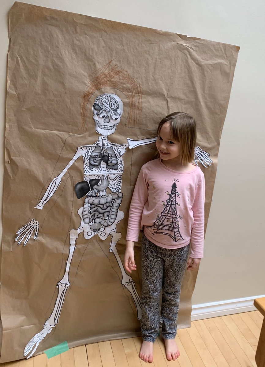 MmeHopeAlpha's tweet photo. When your mom is a Science teacher, you spend two weeks of pandemic lockdown making life-sized body models for fun. #futurebodyscientists #slightlycreepy #oklotscreepy https://t.co/gJW8vYIDrC