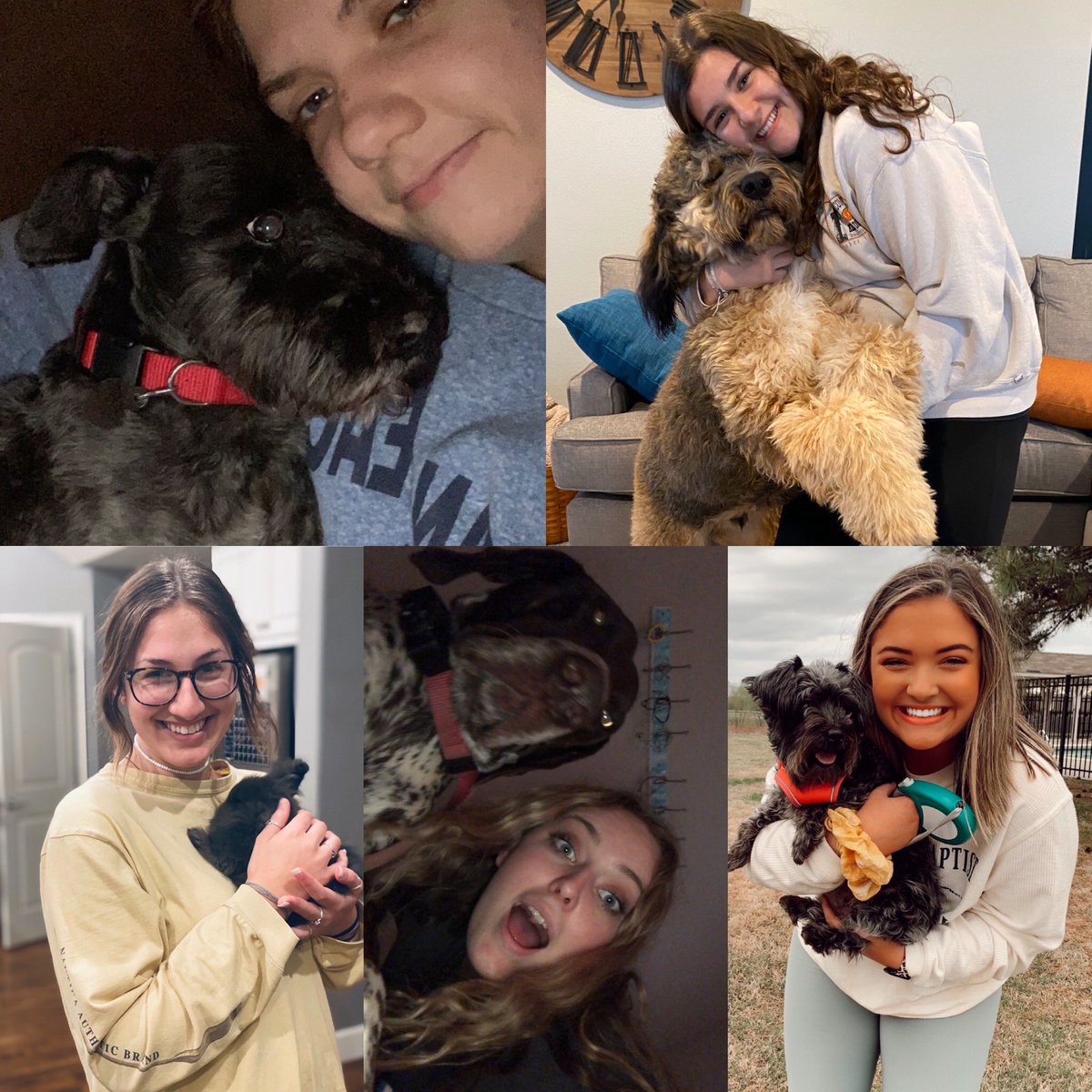BAHSYearbook's tweet photo. Yearbook staff members are enjoying sheltering at home with their favorite furry friends! DM us your pet photos from staying at home to be included in a special Corona section of our spring supplement! #quarantine #covid19 #shelterathome #petsmakeeverythingbetter https://t.co/kTJwMIq2gD
