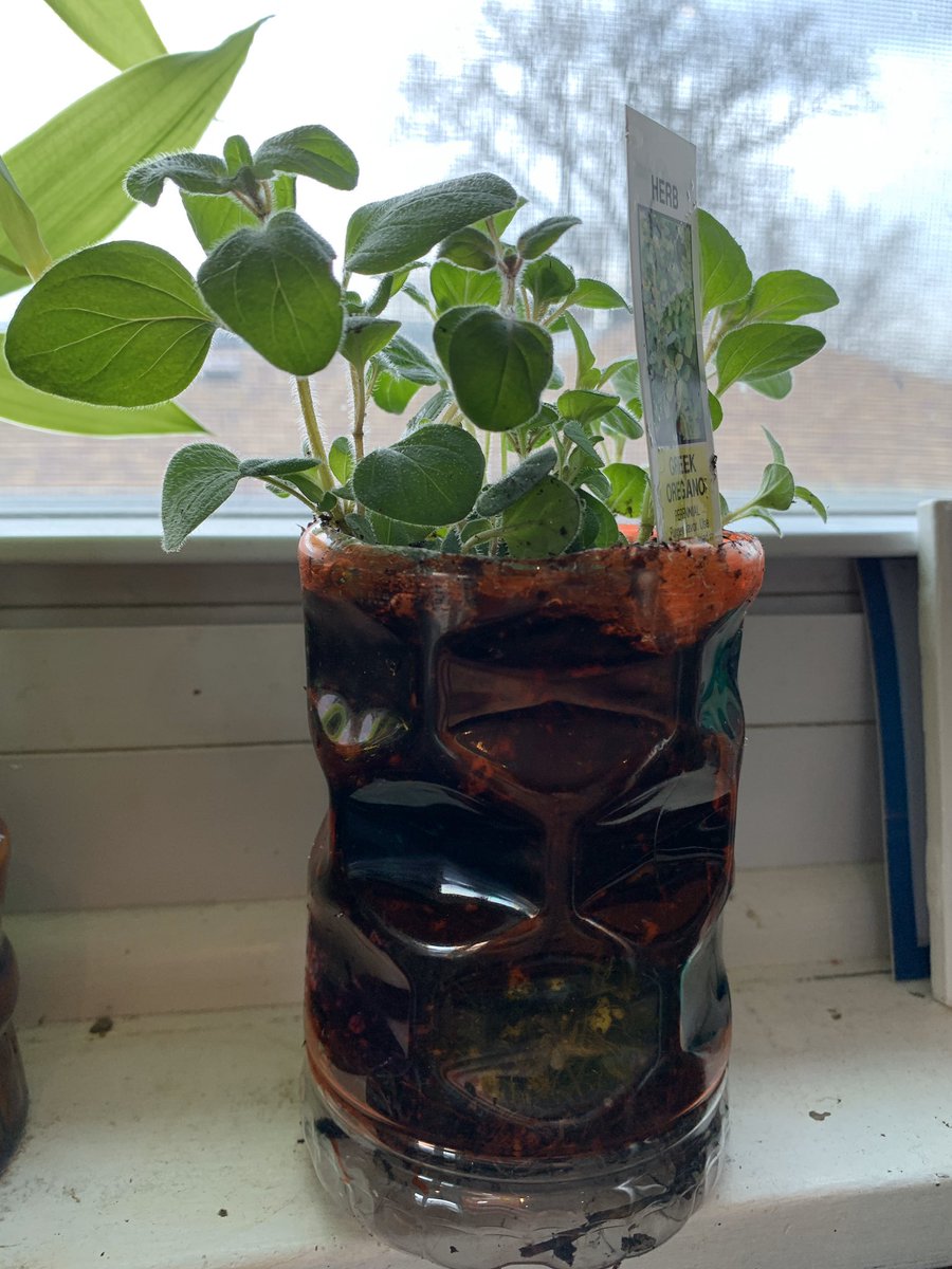 Students in 3SD are encouraged to create something with recycled materials or to show how they can reuse materials and avoid them from landing in the landfills. PB and JL did a great job! #EarthDay50 #d100inspires #ilschoolsstepup #komenskymatters <a href="/timdunnell/">Tim Dunnell</a>