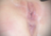Here's a really close up, graphic shot of my really messy creamed pussy &amp; ass for twitter followers who<a href="/tag/femdom"class="tags"><span>#femdom</span></a><a href="/tag/assworship"class="tags"><span>#assworship</span></a><a href="/tag/facesitting"class="tags"><span>#facesitting</span></a><a href="/tag/pussyworship"class="tags"><span>#pussyworship</span></a>