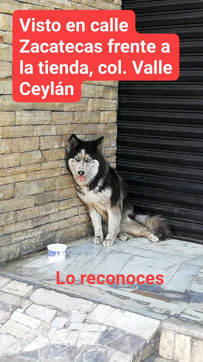 cristina rocha tweet media