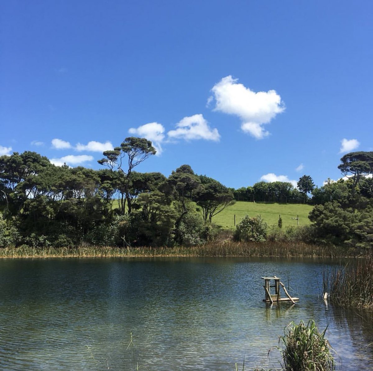 can’t mention this place because the locals will kill me lmao but i will say it’s north of parakai  it’s so secluded but incredible! and always give the neighbours a wave when they’re mowing their big ass lawns lmao