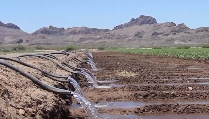 azfb's tweet photo. #DidYouKnow One U.S. farmer produces enough food to feed 155 people! https://t.co/MgRUC5eOV1