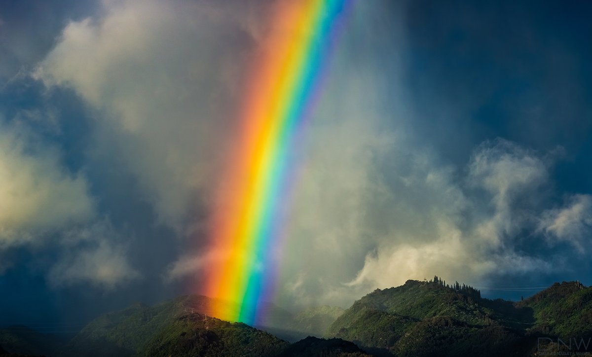And finally, some of my favorite RAINBOWS Hope you enjoyed some vibrancy in your feed! Happy  #EarthDay2020  ! (9/9)