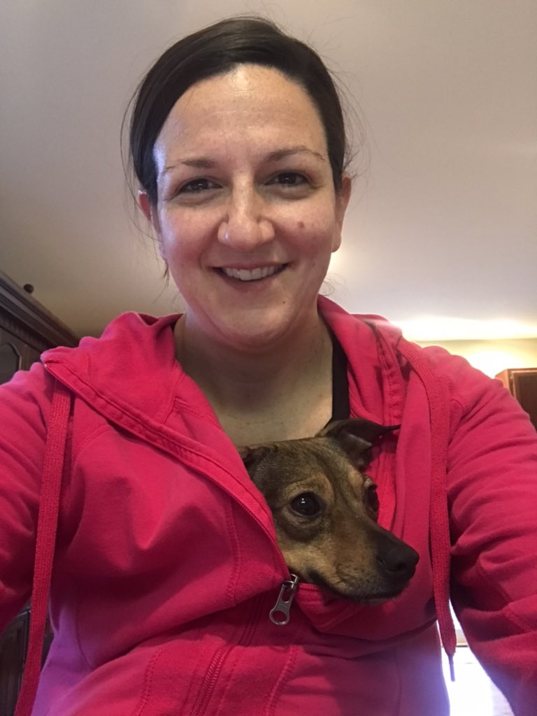 MrsWallace202's tweet photo. Ivy gets to be near me and I get two hands free to work on e-learning! Win win!#d75learns #d75teacherspet https://t.co/C14CTTUBxS