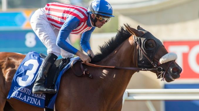 Brisnet's tweet photo. G1 winners #Bellafina, Mia Mischief top field of eight in Saturday's $150,000 Carousel @OaklawnRacing https://t.co/Z5deocvokj (@benoitphoto_) https://t.co/VahxBDaleS
