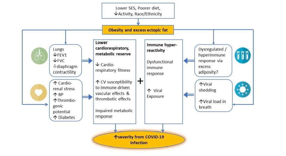Dr. Anmol Kapoor tweet media