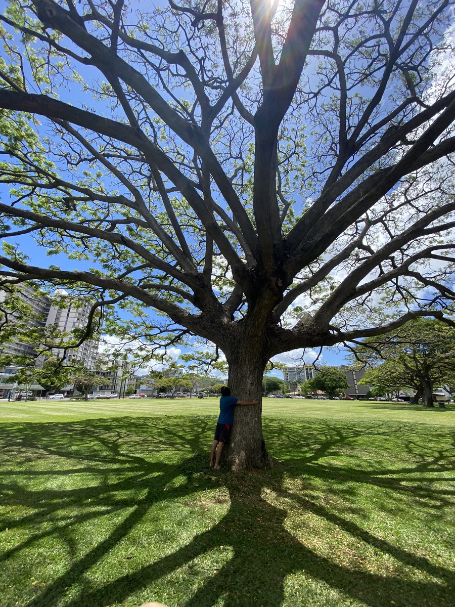 catetoshi's tweet photo. HAPPY EARTH DAY! #earth #earthday #hugatree #iHaveaTree #ihaveadream #hug #green #tree #hawaii #makikipark #earthdayhonolulu https://t.co/sBRtRshAzQ