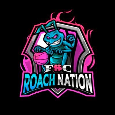 TPOLeague's tweet photo. #104🔌 Plugged IN had A Very Good Run Last SZN Definitely a Team Full of Dogs @RoachNation2K and @FSCSTEPH Underrated Brand Thank You Give Them A Follow If You Can #SZN4🌊

#PS4🎮 https://t.co/fb8hJFGJXf