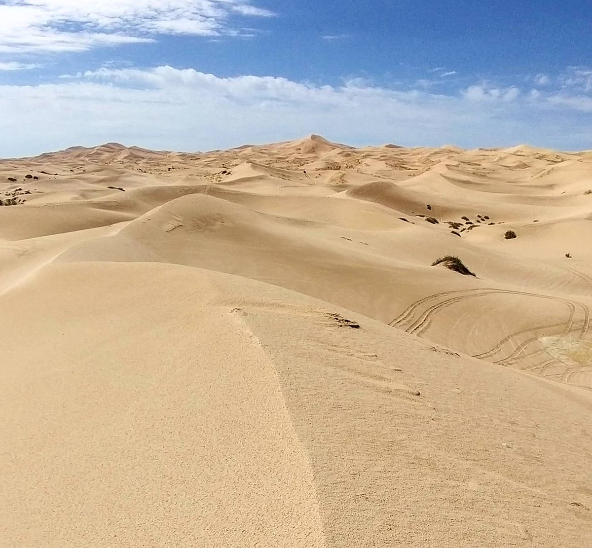 RevistaNatGeo's tweet photo. ¡Hoy para celebrar el Día Mundial de la Tierra les compartimos estas bellas imágenes de las Dunas de Samalayuca en Chihuahua, México!
¿Las conoces?

Fotos: @RolandRRG https://t.co/LPNCYEb1Yo