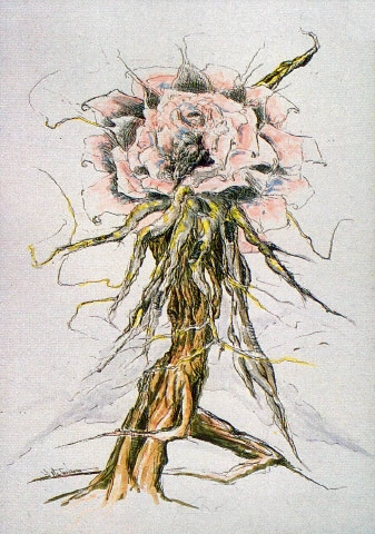 (ENJI) AND OHHHHH MYYYY GODDDDRemember I said there was plant DNA in Biollante? Yeah... Here is some concept art of that… and then for your consideration, the flower Enji sends to Rei…