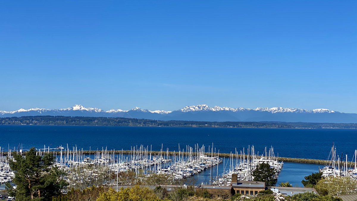 tf5design's tweet photo. The positive I see on this #EarthDay during tough times: the cleanest air we've experienced in our lifetime. Breathe deep, take in the beauty, and embrace opportunity to improve all lives. #EVRevolution #CleanAir #DeepGreensandBlues @nature_org https://t.co/vXc23kCwph