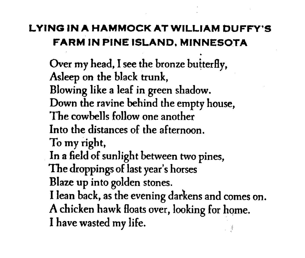 "Lying In A Hammock At William Duffy's Farm" one of my favorites, by  #JamesWright. #EarthDay     #WritingCommunity   #AmReading