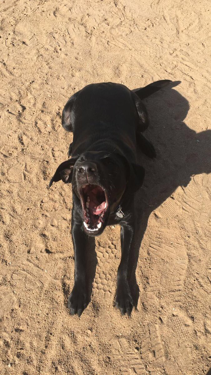 Week 5 of quarantine got me like