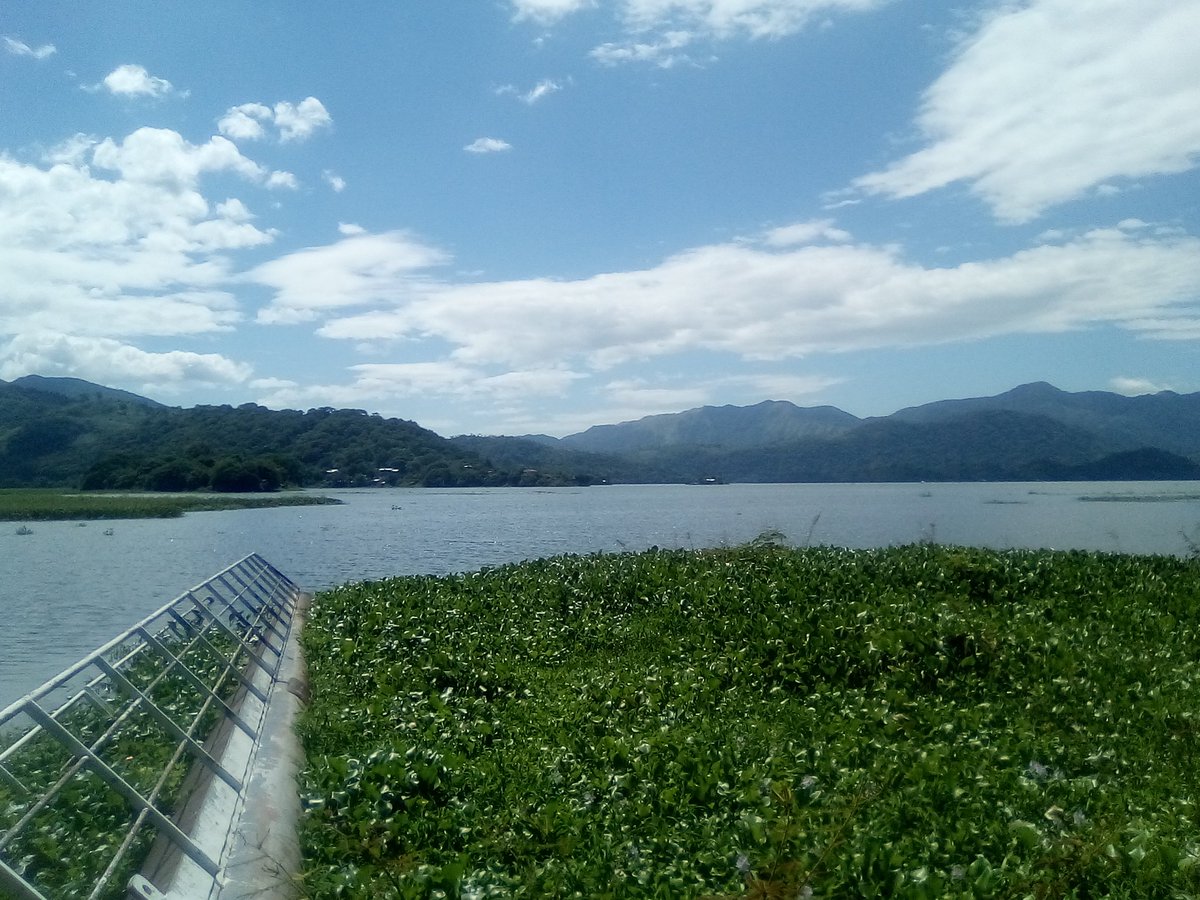 Michael88146641's tweet photo. @ElSalvadorJPG @MITURElSalvador @MedioAmbienteSV @MorenaValdezSV @lopezfernando Cráter del volcán Chaparrastique y laguna de Olomega, San Miguel https://t.co/eXyJFsFxhR