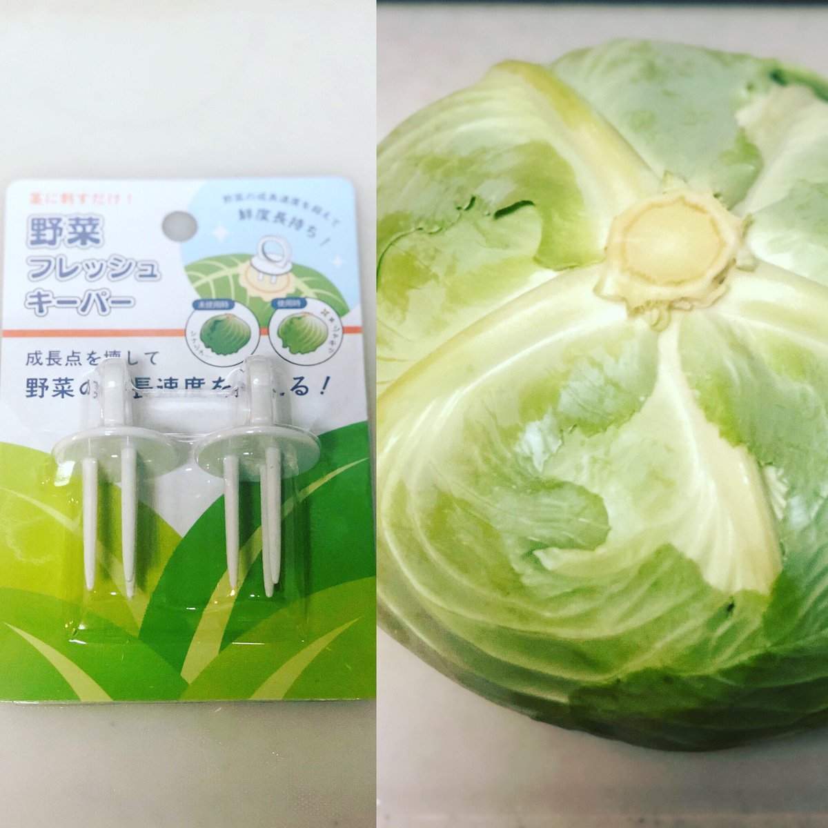 野菜フレッシュキーパー بحث في تويتر 野菜フレッシュキーパー بحث في تويتر
