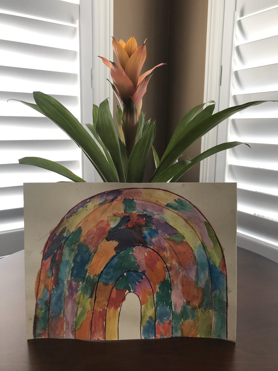 mrswilsonsones's tweet photo. Jonathan’s Rainbow 🌈 so special, purposefully unique https://t.co/Vcy4aSLjDp
