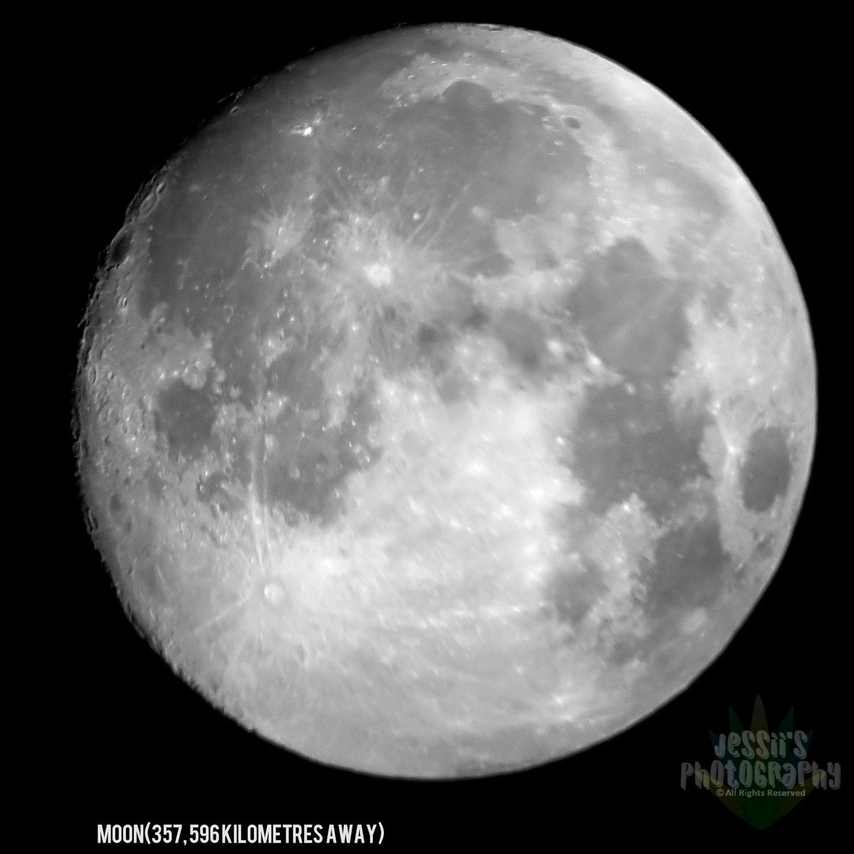 formulajai's tweet photo. Day 23 of #DechartGames April Art Prompts.
MOONLIGHT🌗🌕🌓
"I often think that the night is more alive and more richly colored than the day"
-Vincent Van Gogh
#ConnerArmy #Astrophotography #PhotoOfTheDay #photography #moon https://t.co/cbZHNJHtti
