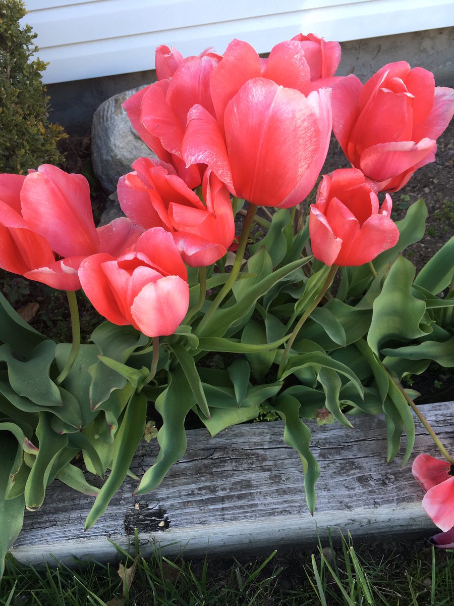 Ms.Feret tweet media