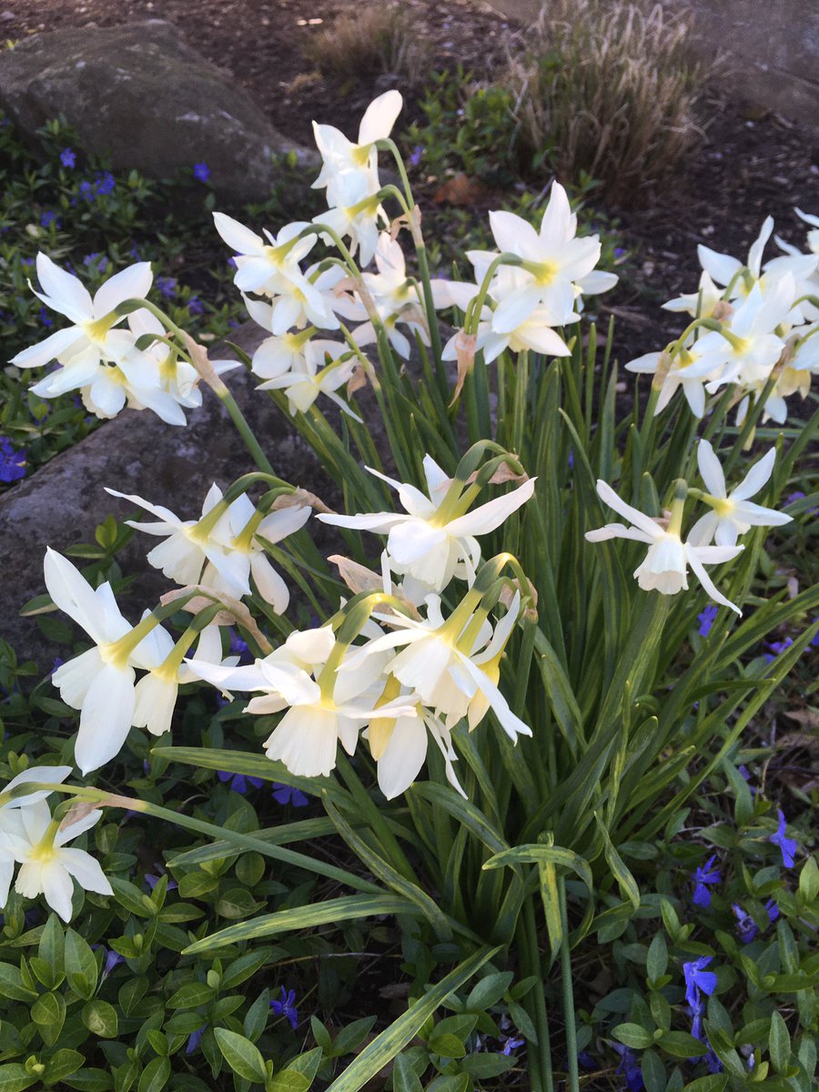 Ms.Feret tweet media