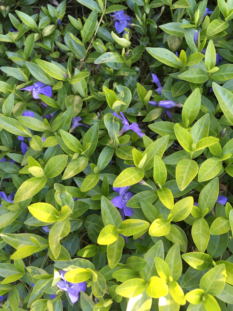 Ms.Feret tweet media