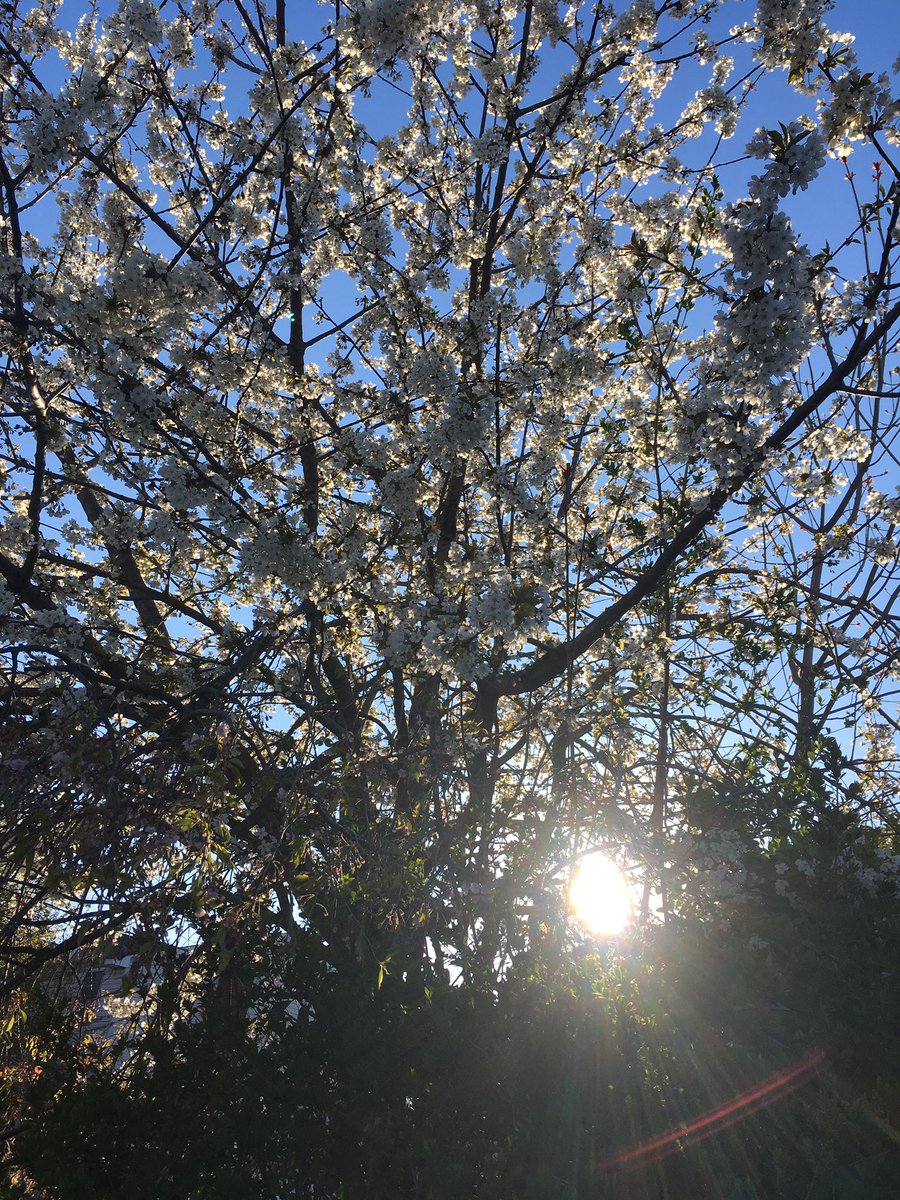 Ms.Feret tweet media